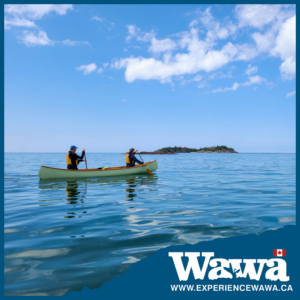 Wawa - VTA Social Ad